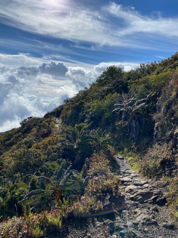 Haleakala Crater Trail photo 3