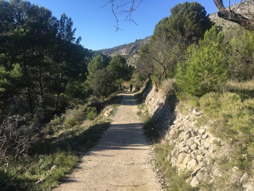 Off road motorcycles. They seemed surprised to see me there. Had a double take at my meagre machine.