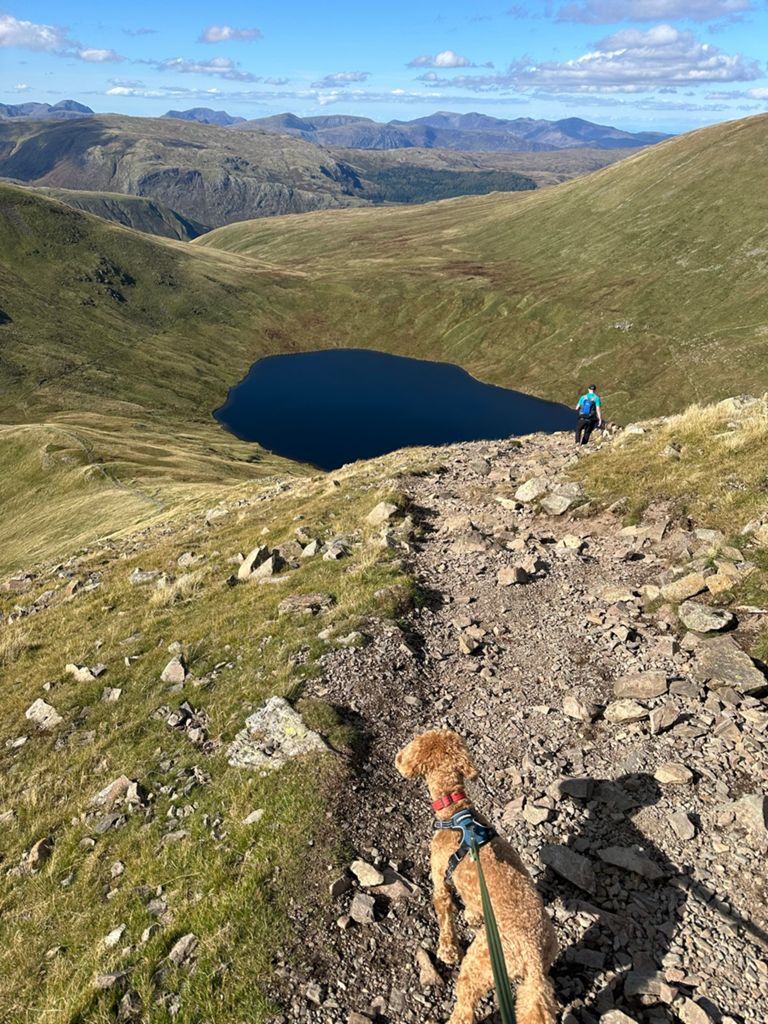 Lakes Day 1 - Loop Up To Fairfield-4