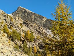 Tête de l’Estrop depuis la Foux d’Allos