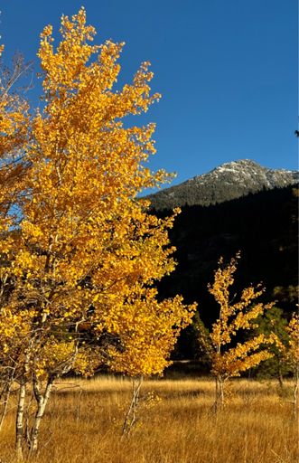Golden days hit the valley.