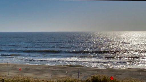 It’s a little out of focus, because it’s a still frame from a video I took.