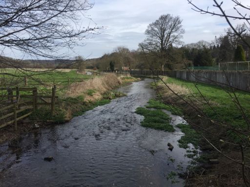 River Chess just outside Chenies