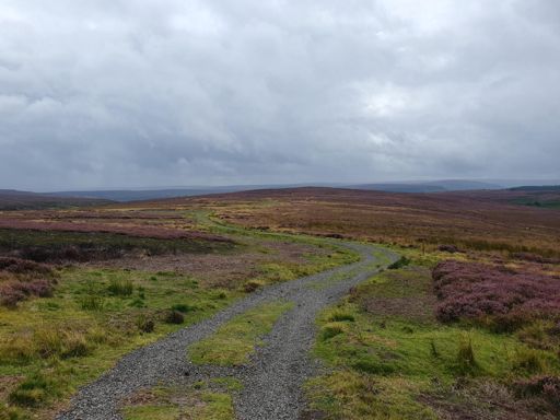 Moors over to Percy Cross