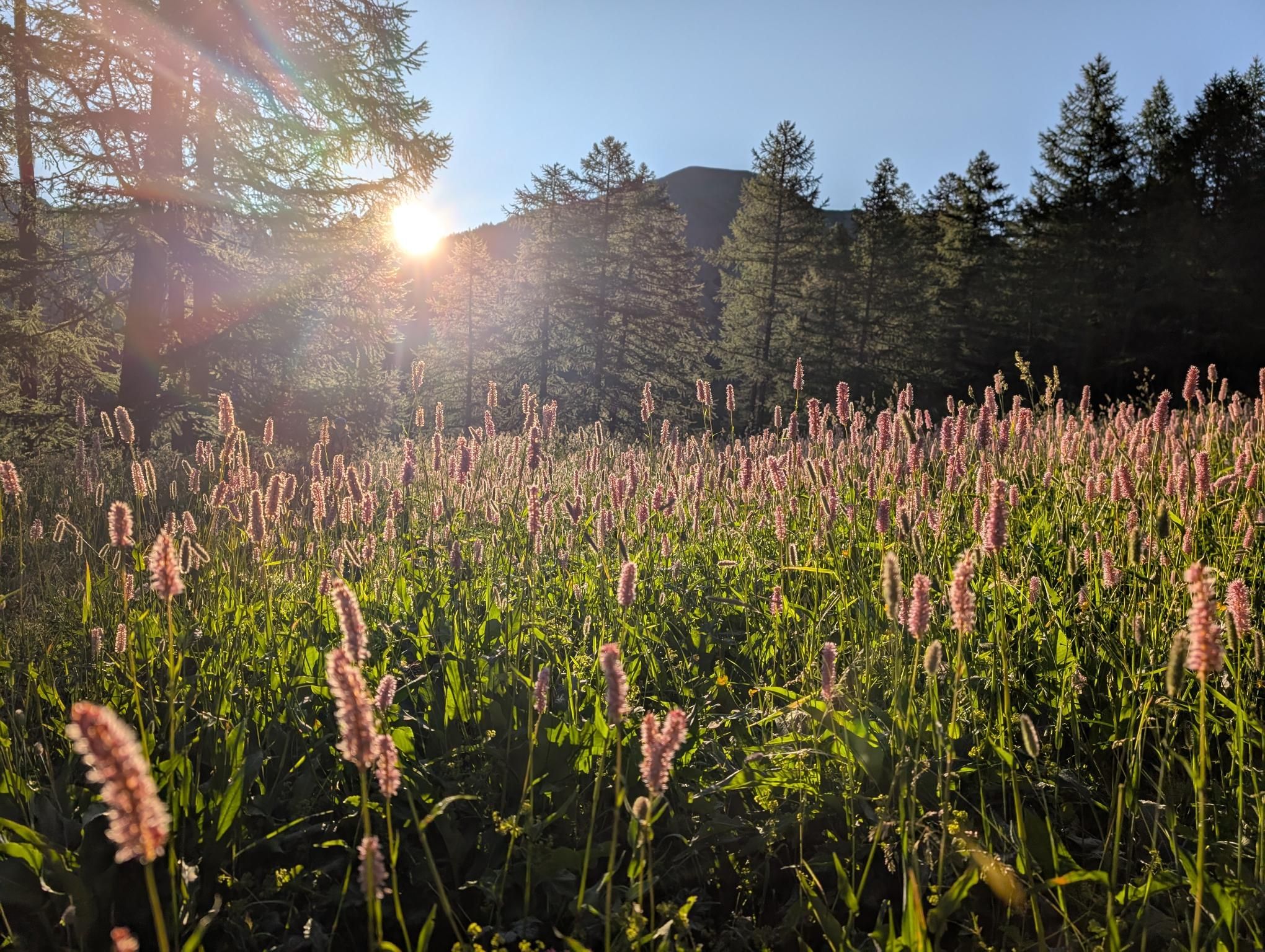 GR58 - Day 4 photo 2