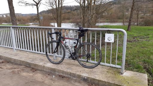 Im Flachen an der Saar