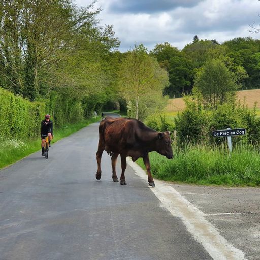 Même pris le temps de faire du gardiennage =)