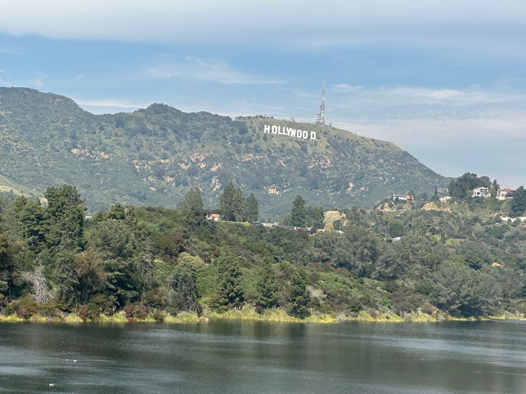 NBB run - Lake Hollywood: фото 116