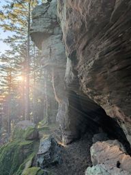 Pierre-piquée Derzognier