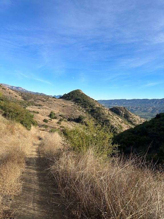 Ojai Figure 8 112.4 km Cycling Route on Strava