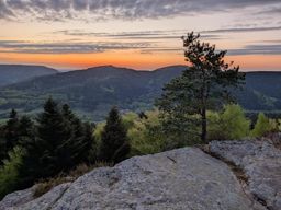 Balade après la séance d’escalade