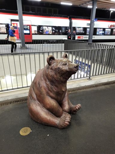 Da sitzt doch einfach ein Bär auf dem Perron in Goldau!? 😨 🐻👍