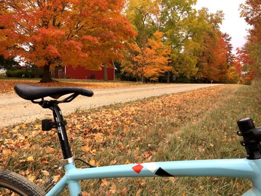 My bike is low rent and kinda ugly...but at least it isn't SHITMANO dick breaks with batteries stolen from moms vibrator