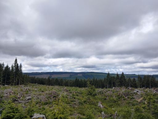 View from first new tile of the day, looking West. "Hey, I've been on those roads over there" was a commonly uttered phrase today :)