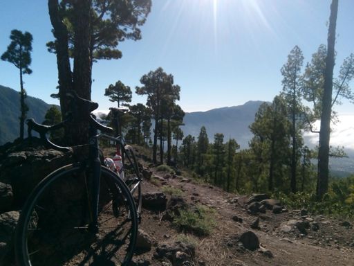 A little further up the 'narrow road'