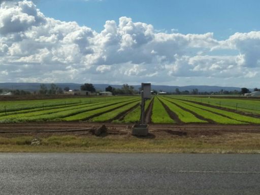 ❤ the countryside! Nice and quiet out these ways 😍