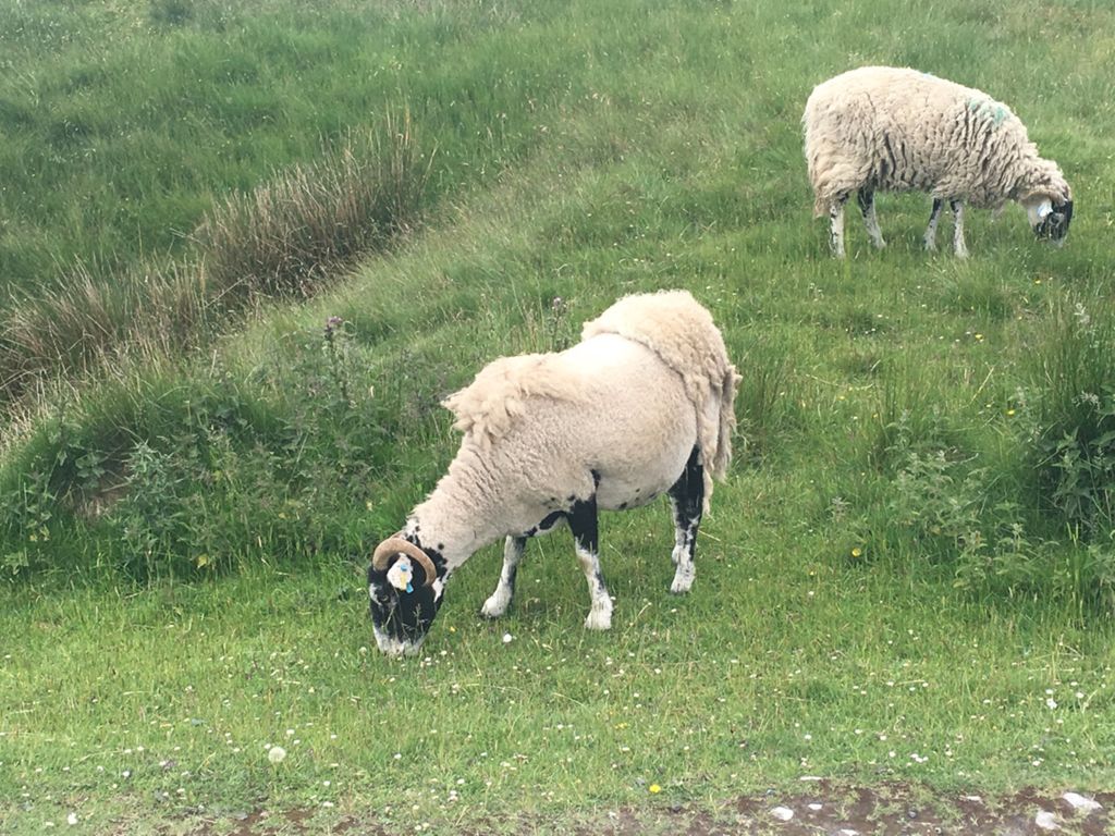 Yorkshire Three Peaks 2016-7