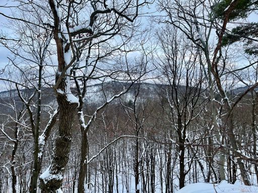 View of Wyanokie High Point