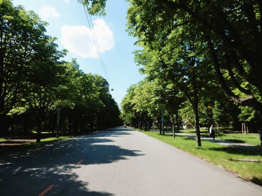 Aber die Prater-Hauptallee gähnt vor Menschenleere.
