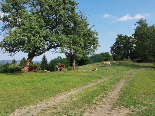 Höchste Gefahr 😉