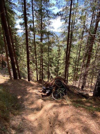 Jack taking an unplanned trailside break