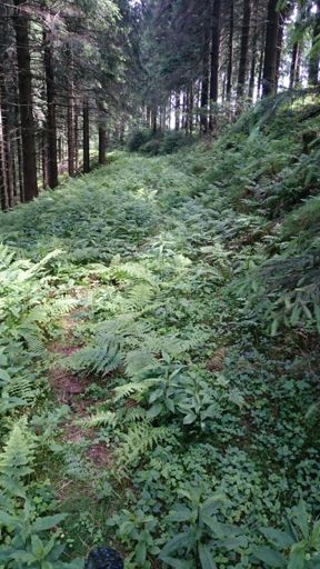 Nächstes Mal dann Rasenmäher und Heckenschere in die Satteltasche packen :P