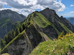 Chöpfenberg Tierberg