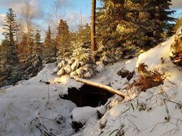 Donon à l’improviste