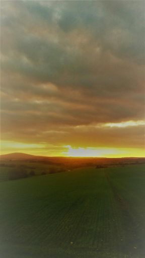 Sonnenuntergang am Idarwald