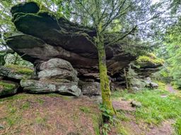 Cascade des Molières et Sapin sec