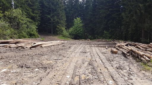 Tu to chce trochu preschnut