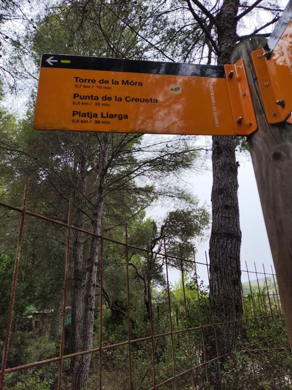 Bosc de la Marquesa 1