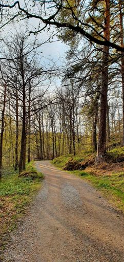 From winter to summer in a couple of days.