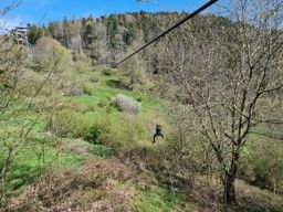 Parc aventure avec mon neveu et son ami.