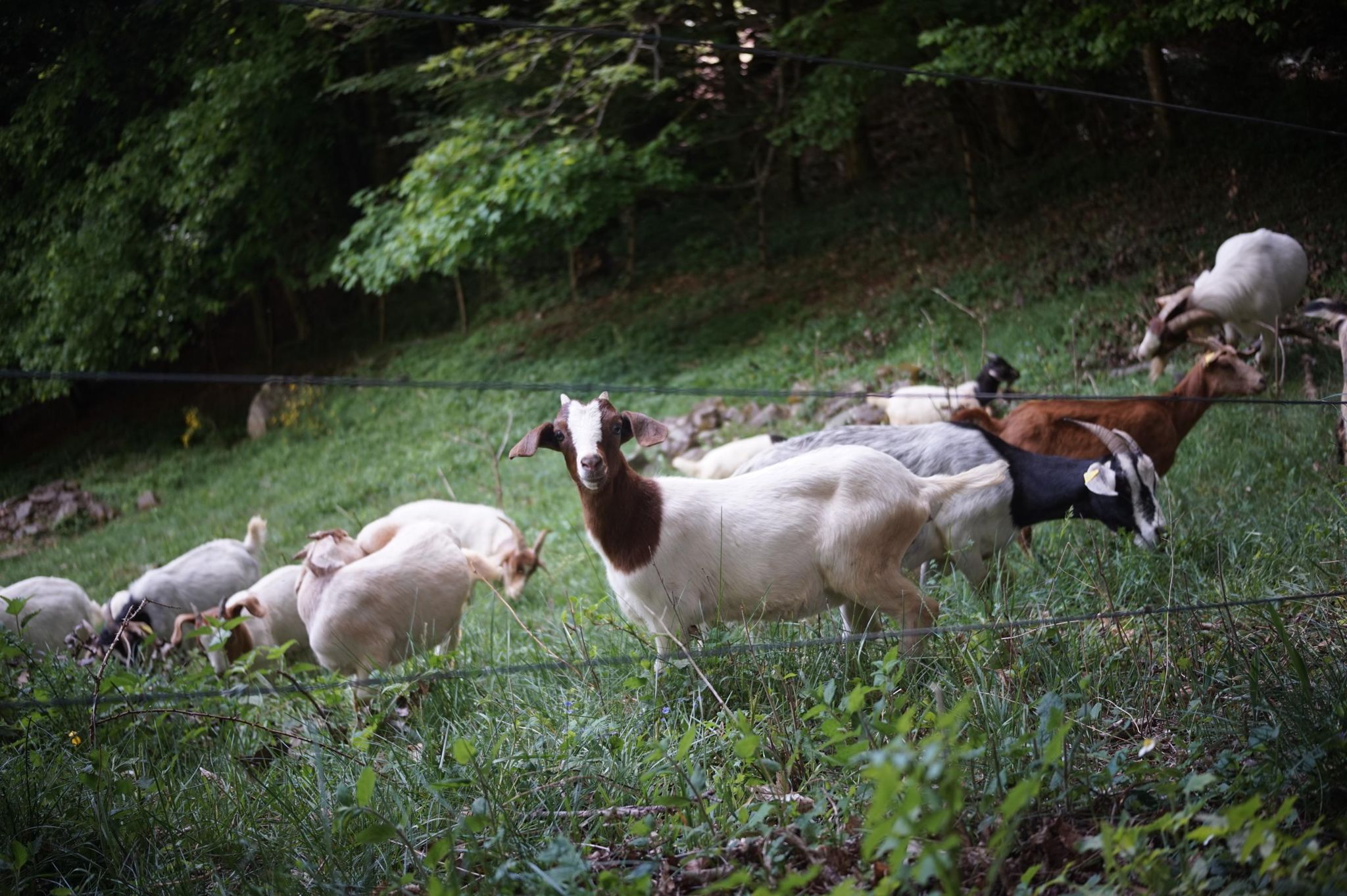 Activity photo