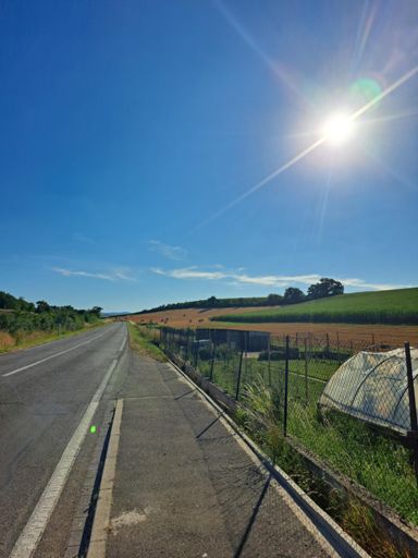 Les routes alsacienne