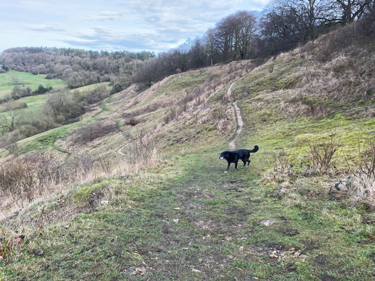 Brockworth, Crickley, Birdlip 35.3 km Cycling Route on Strava