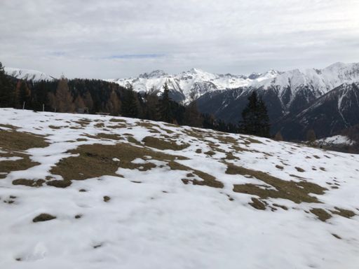 An der Schmittener Alp