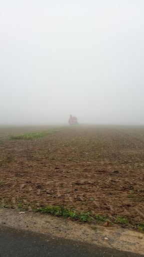 Die Runkelreuberuppmaschin...