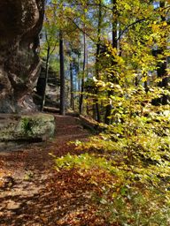 Dans ma prison dorée