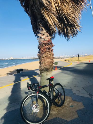 #BikePorn #FocusBikes #StKildaPier