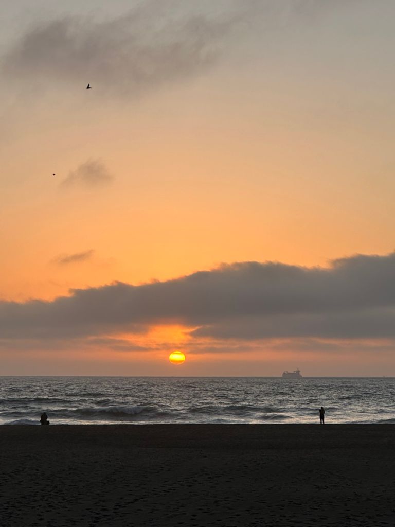 Butterlap (Presidio & Golden Gate Park)的照片 92