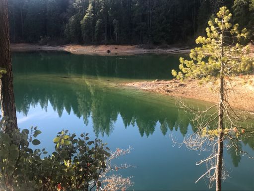 VERY clear water and that is ice on the shore in the background. Quite a few frozen puddles on this section of trail.