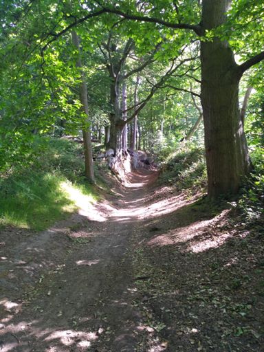 I keep expecting to see robin hood when I go along here