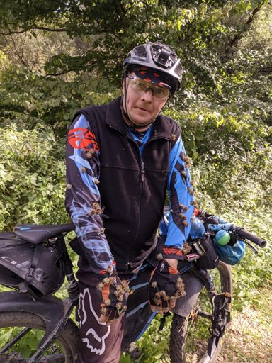 Период размножения репейника. Достал!