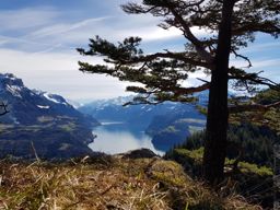 Gotterli, lac des 4 cantons