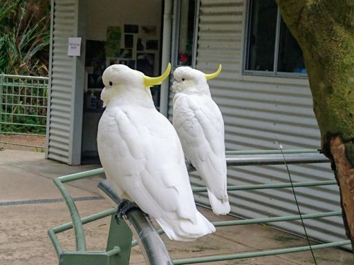 Grants Picnic Ground