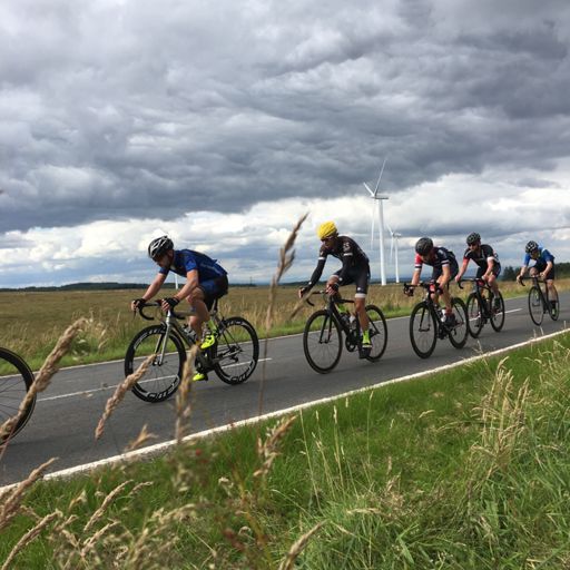 Why don't you lead by example...