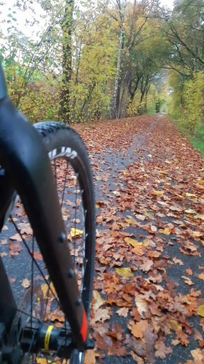 Hier muss er noch ran.