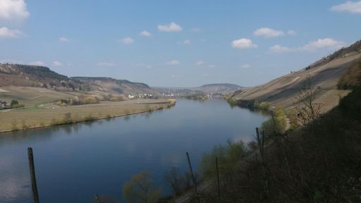 Uitzicht over de Moesel